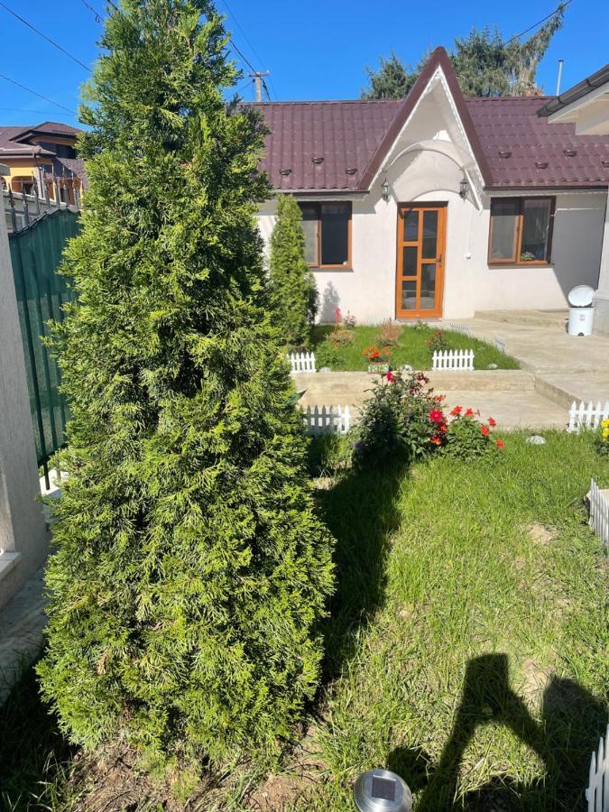 Hotel Casa Roa Slănic Exterior foto